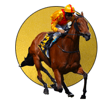 horse race - gold